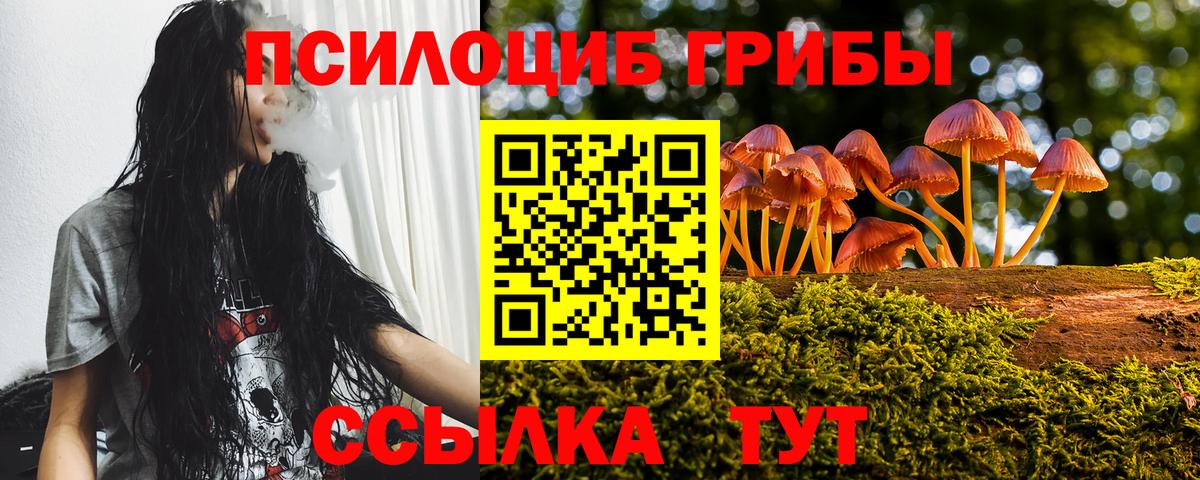 Галлюциногенные грибы Psilocybe  Галлюциногенные грибы Psilocybine cubensis  Вход с VPN  Медногорск 
