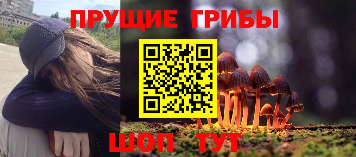 Псилоцибиновые грибы Cubensis Медногорск