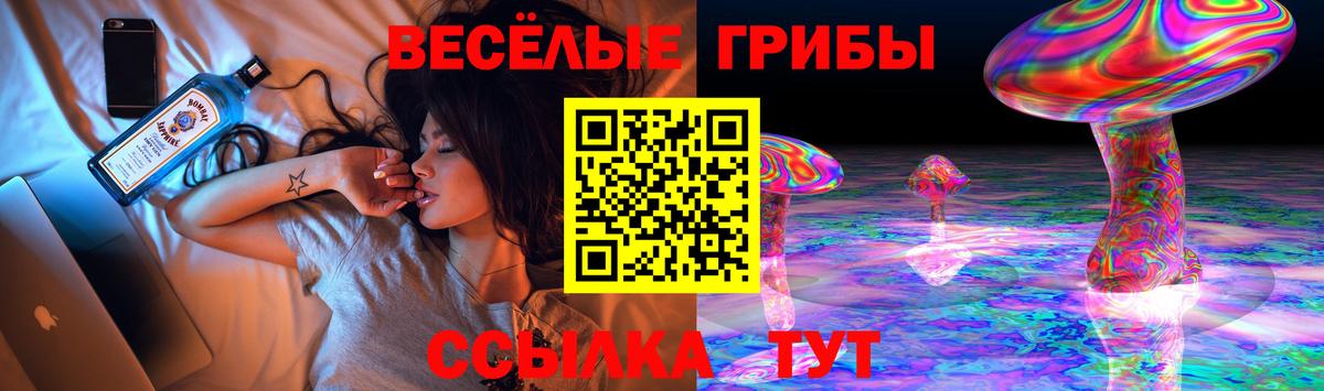 Псилоцибиновые грибы Magic Shrooms  Медногорск 