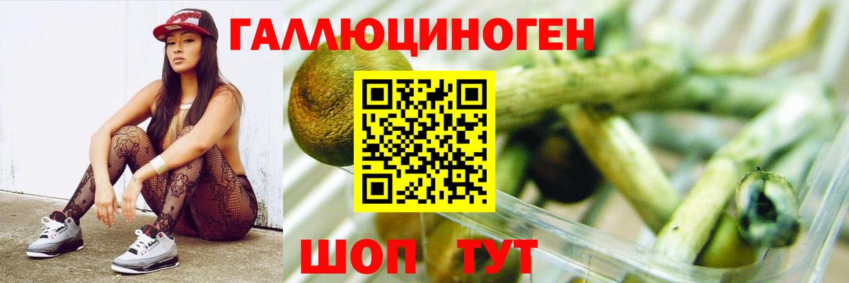 Галлюциногенные грибы Cubensis Медногорск